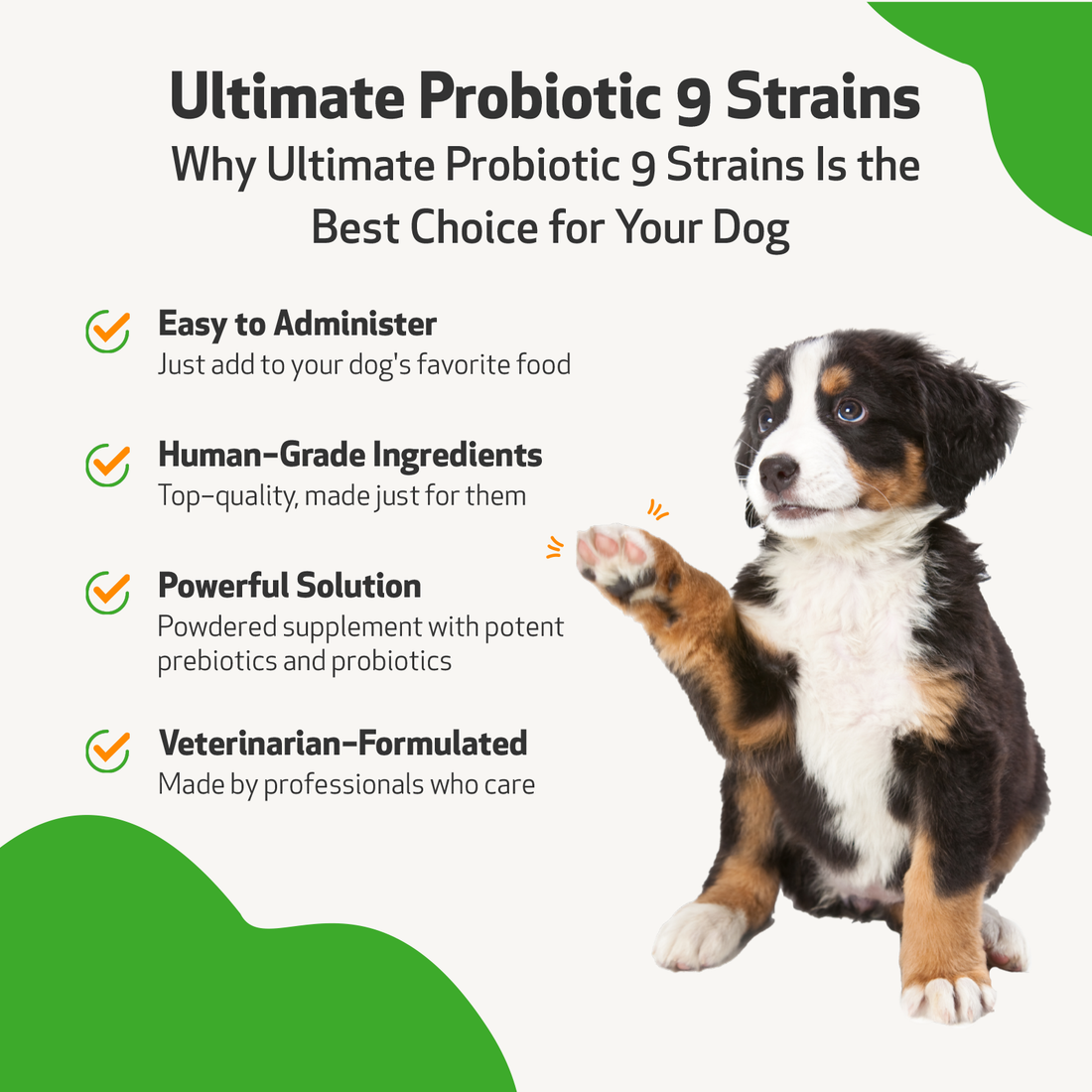 Best probiotic for clearance dogs uk
