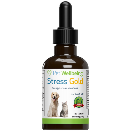 Stress Gold for High Stress Situations in Dogs