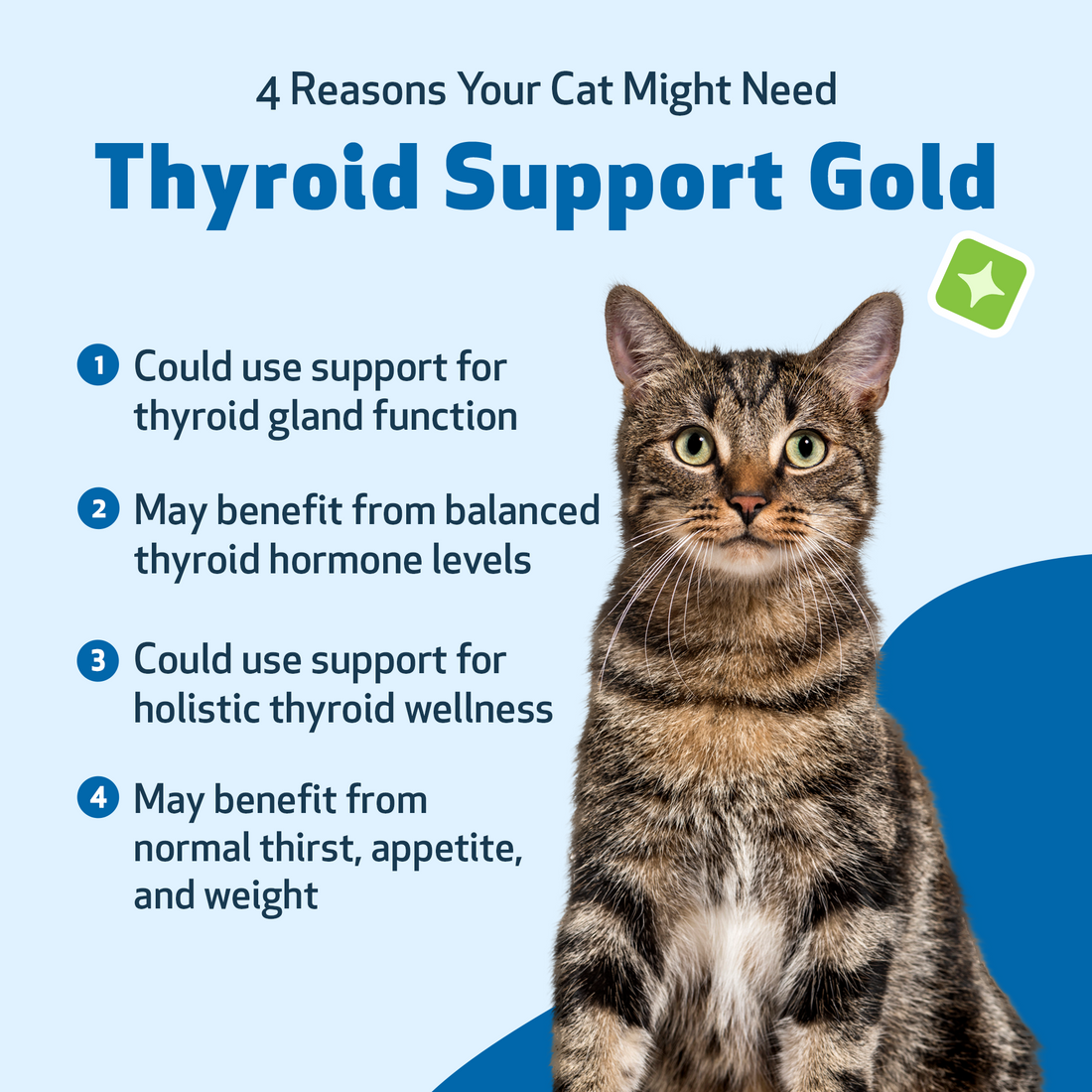 Thyroid Support Gold for Cats 2