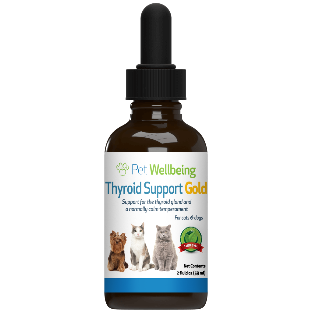 Pet wellbeing blood sugar gold 2024 for cats