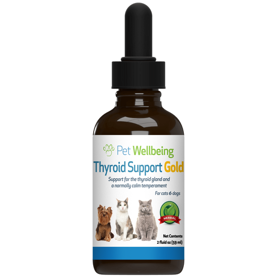 Kidney supplements for cats online