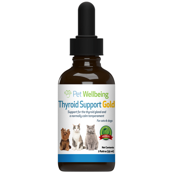 Blood sugar 2024 gold for cats