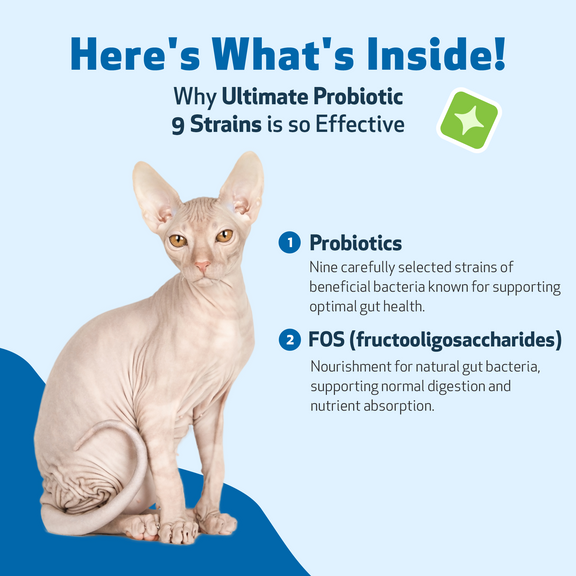 Image showcasing Ultimate Probiotic For Cats Pet Wellbeing Ultimate Probiotic 9 Strains ...