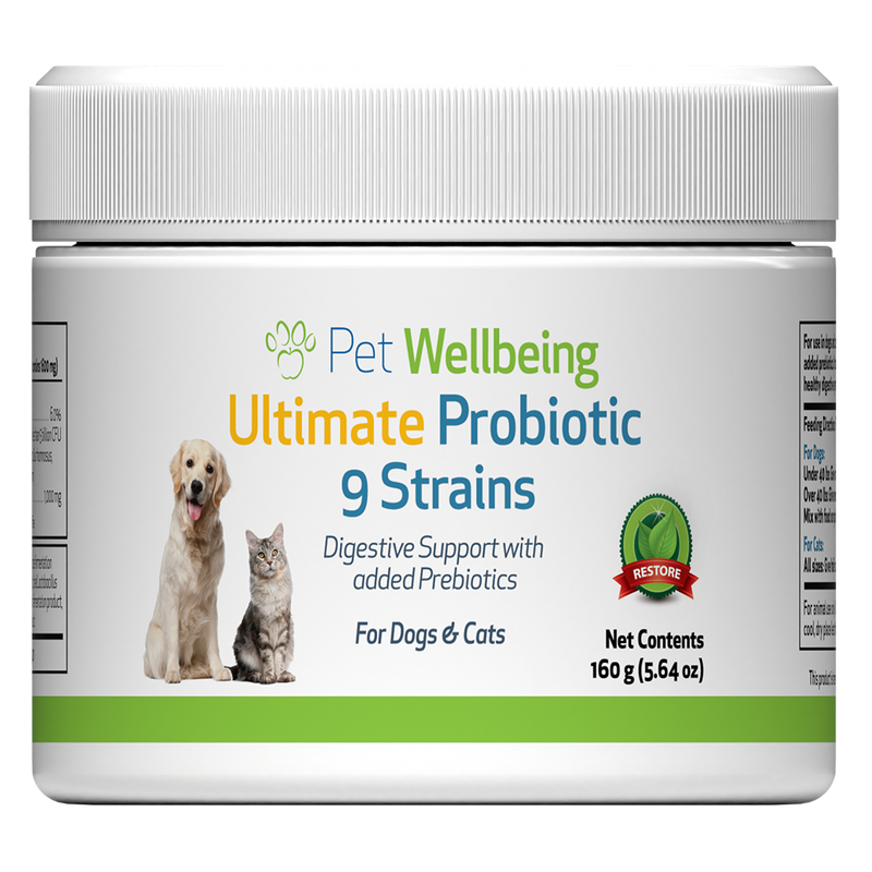 Ultimate Probiotic 9 Strains for Healthy Digestion in Cats Pet