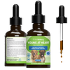 Young at Heart - Holistic Heart Health Care for Dogs