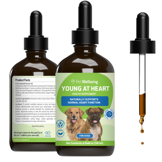 Young at Heart - Holistic Heart Health Care for Dogs