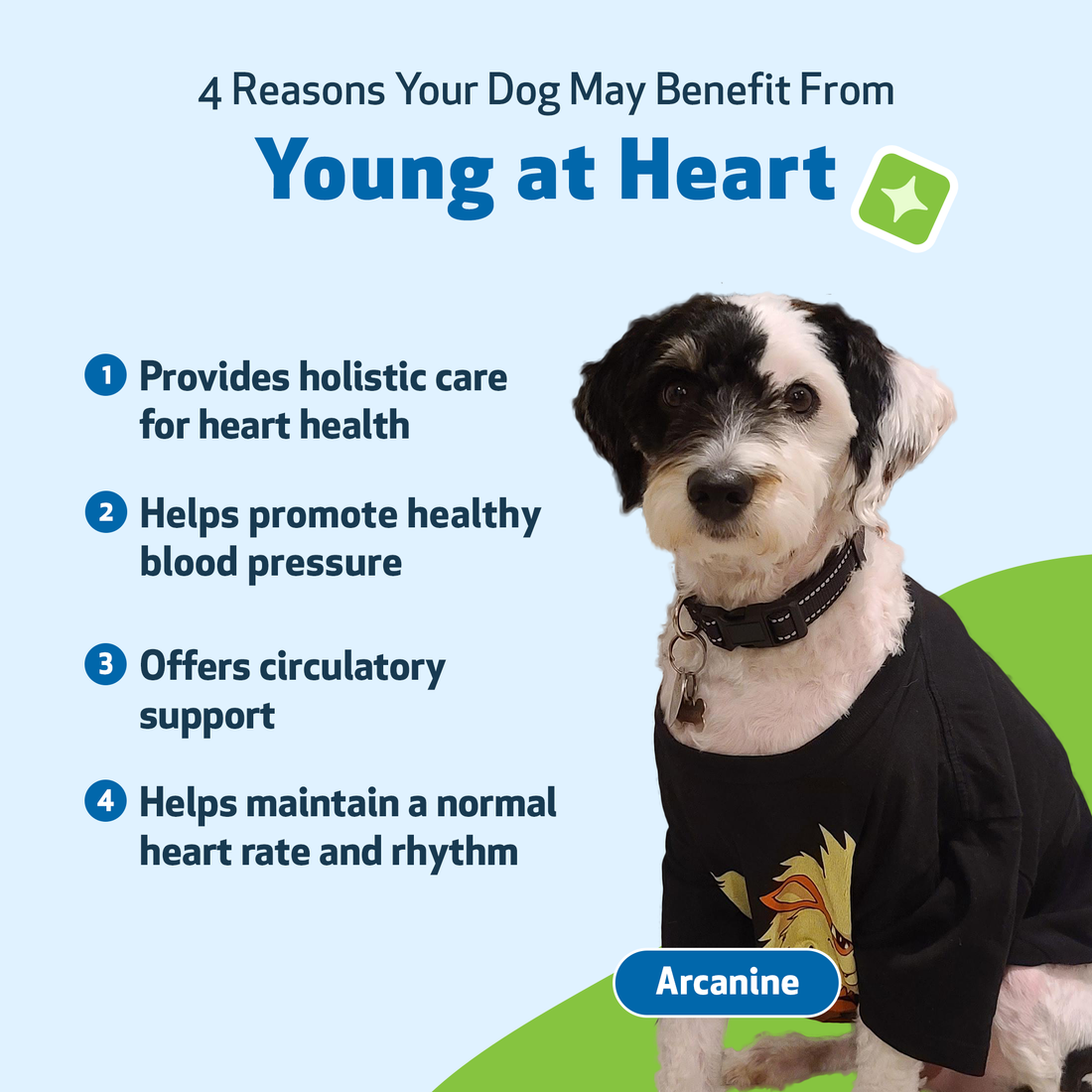 YoungatHeartforDogs4oz