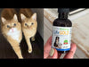 Pet Wellbeing Life Gold is a veterinarian-formulated, high-quality supplement developed to support your cat's healthy organ function and to help maintain normal, balanced cellular growth. Its powerful herbal ingredients are designed to be gentle and effective, supporting your cat’s well-being through all life’s twists and turns.