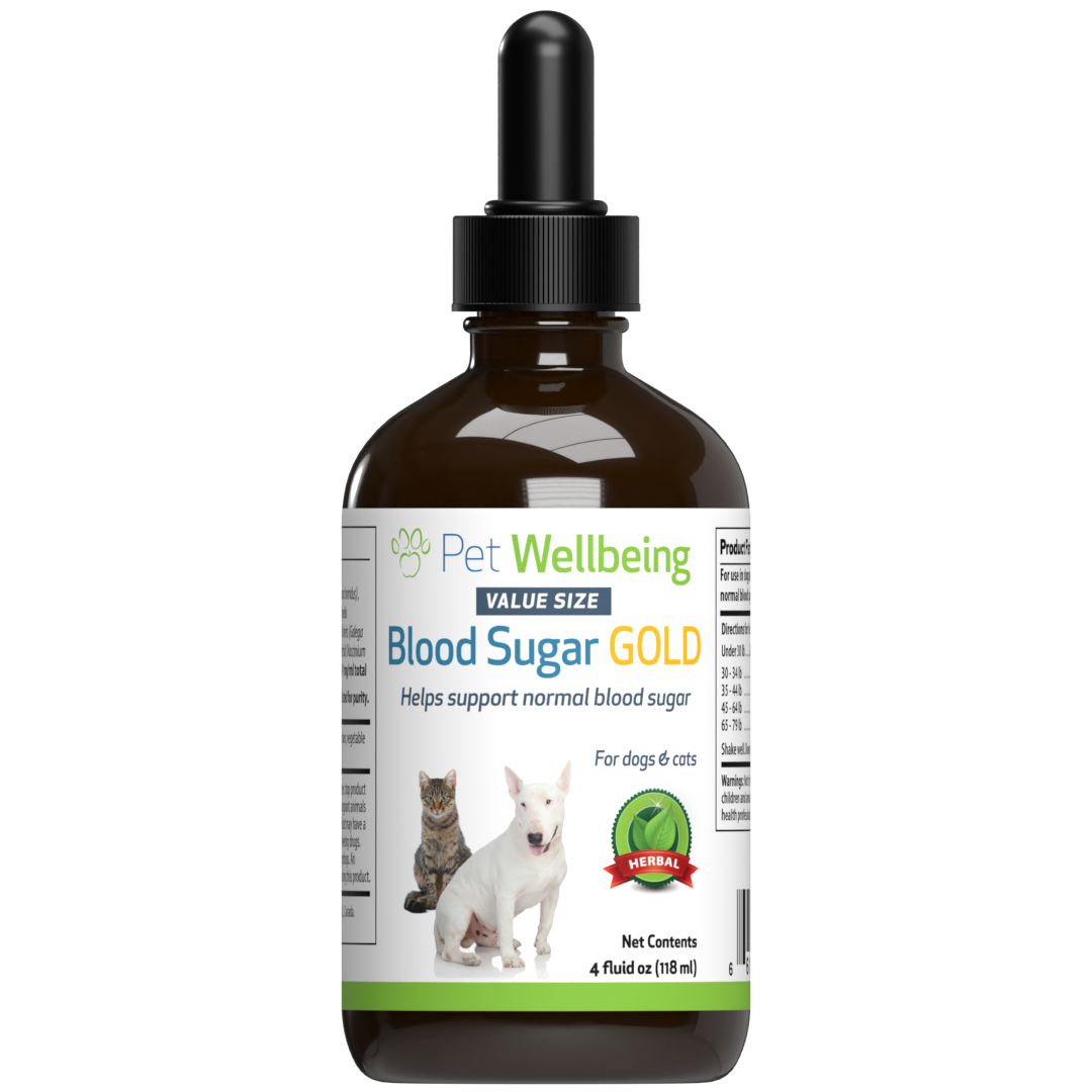 Dog online blood sugar