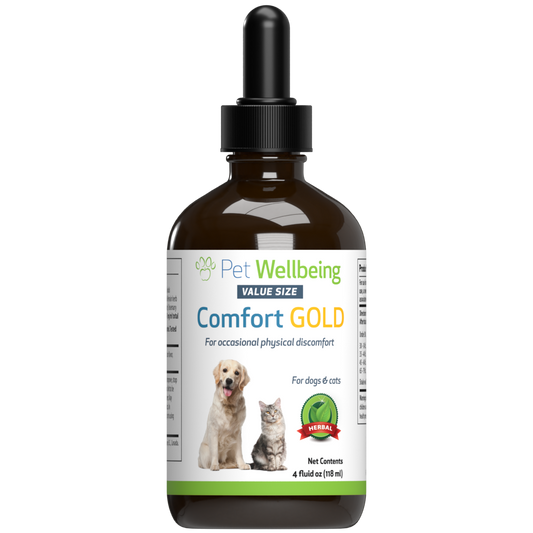 Comfort Gold - Dog Support for Physical Comfort