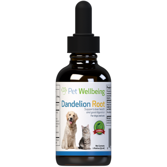 Dandelion Root - for Cat Liver and Digestive Support