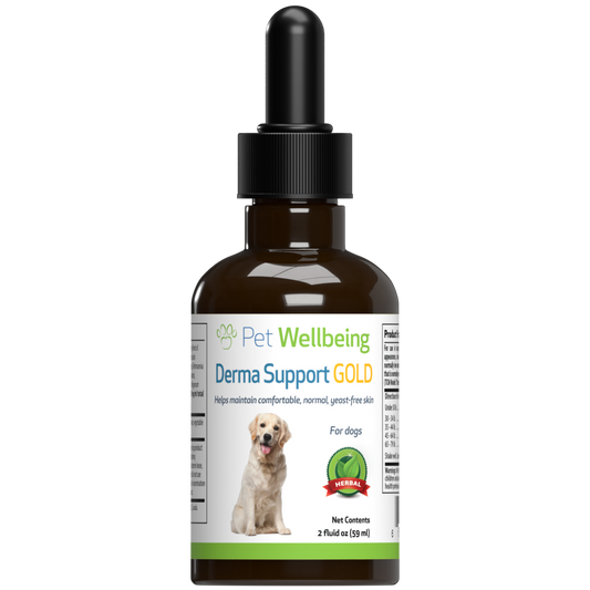 Derma Support Gold for Dog Healthy Coat, Odor & Itching
