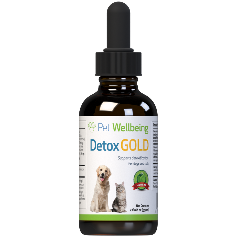 Life gold 2025 for dogs