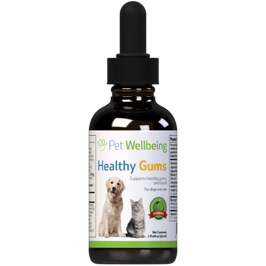 Healthy Gums - for Canine Periodontal Health