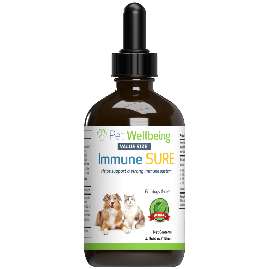 Immune SURE - for Feline Immune System Support | Pet Wellbeing UK