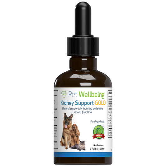 Kidney Support Gold - for Healthy Kidney Function Support in Cats