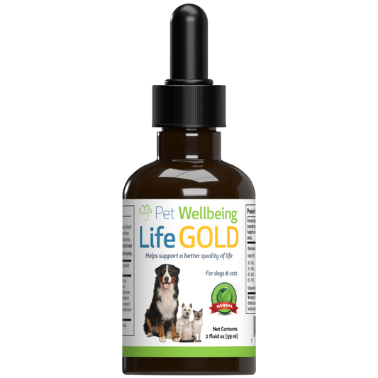 Life Gold for Dogs - Quality of Life and Lymphatic Support