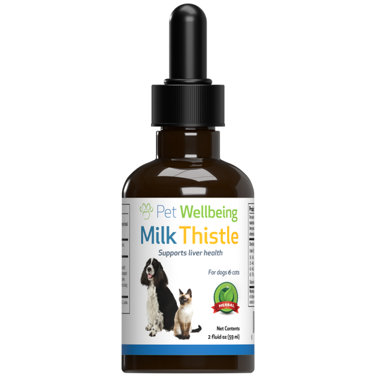 Milk Thistle for Cat Liver Support
