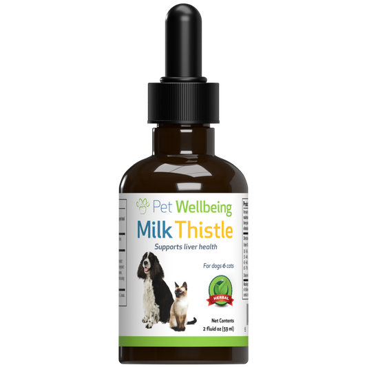 Milk Thistle for Dog Liver Support