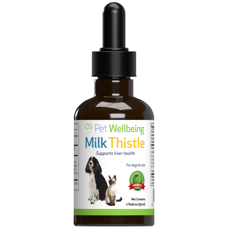 Milk Thistle for Dog Liver Support Pet Wellbeing UK