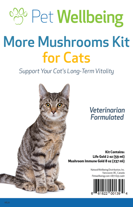 More Mushrooms Kit for Cats - Immune & Lymphatic Support