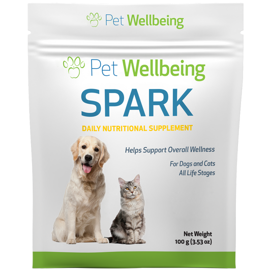 Pet wellbeing smooth bm gold 2025 for cats
