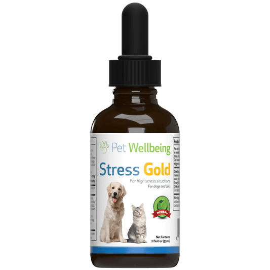 Stress Gold for High Stress Situations in Cats