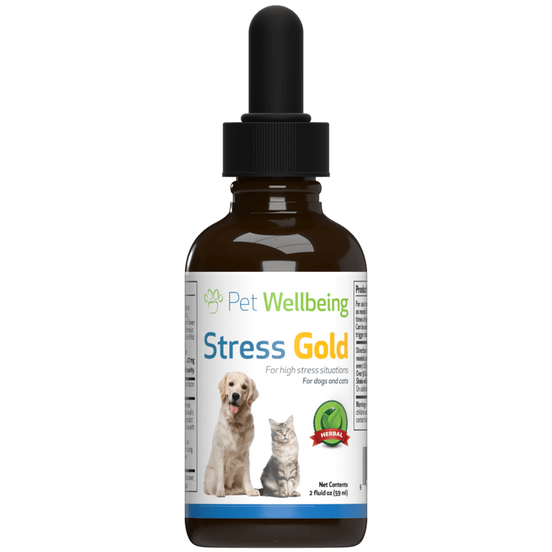 Pet wellbeing life gold cats on sale