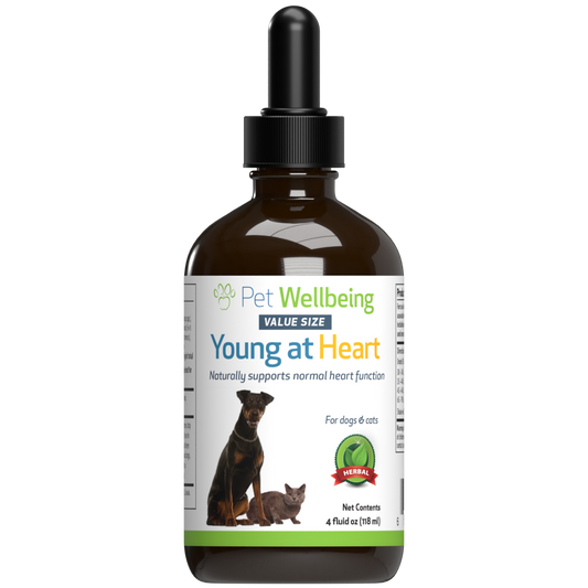 Young at Heart - for Dog Heart Support