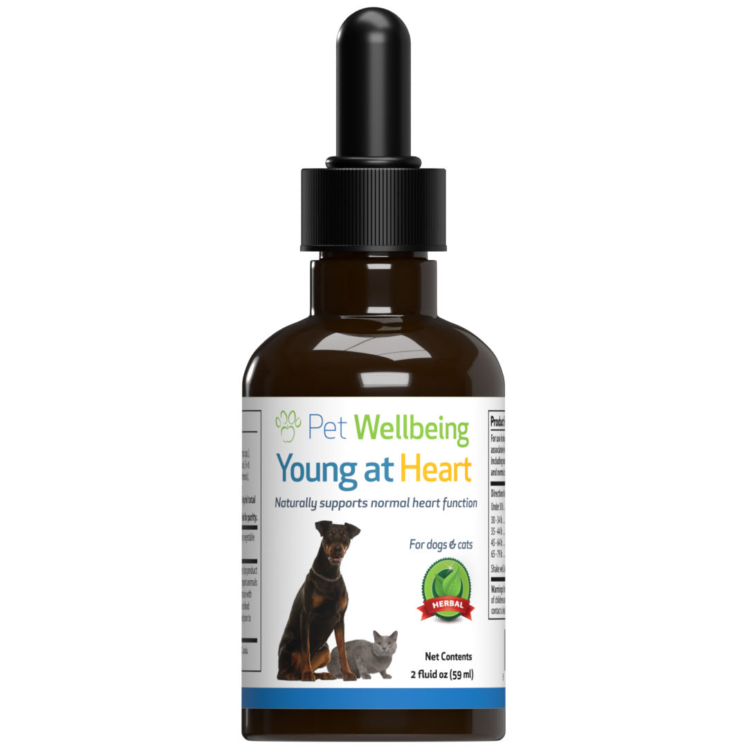 Pet Wellbeing - Young at heart_front